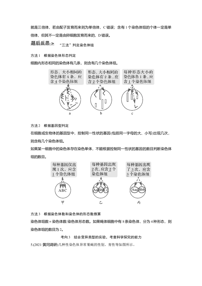 第20讲　染色体变异与育种_新高考复习资料_2023年新高考复习资料_一轮复习_2023年新高考大一轮复习讲义_2023年高考生物一轮复习讲义（新人教新高考）_赠补充习题