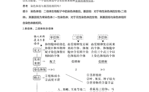 第20讲　染色体变异与育种_新高考复习资料_2023年新高考复习资料_一轮复习_2023年新高考大一轮复习讲义_2023年高考生物一轮复习讲义（新人教新高考）_赠补充习题