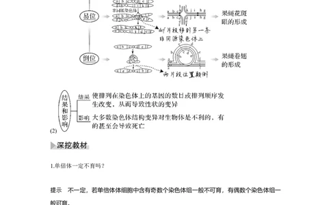 第20讲　染色体变异与育种_新高考复习资料_2023年新高考复习资料_一轮复习_2023年新高考大一轮复习讲义_2023年高考生物一轮复习讲义（新人教新高考）_赠补充习题