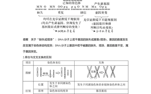 第20讲　染色体变异与育种_新高考复习资料_2023年新高考复习资料_一轮复习_2023年新高考大一轮复习讲义_2023年高考生物一轮复习讲义（新人教新高考）_赠补充习题