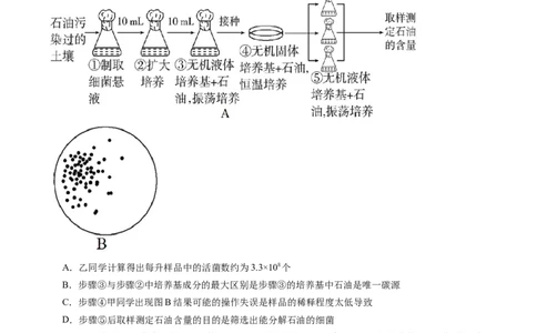 第39讲微生物的培养技术和应用（练习）（原卷版）_新高考复习资料_2024年新高考复习资料_一轮复习资料_完2024年高考生物一轮复习讲练测(课件+讲义+练习)（新高考）_讲义+练习
