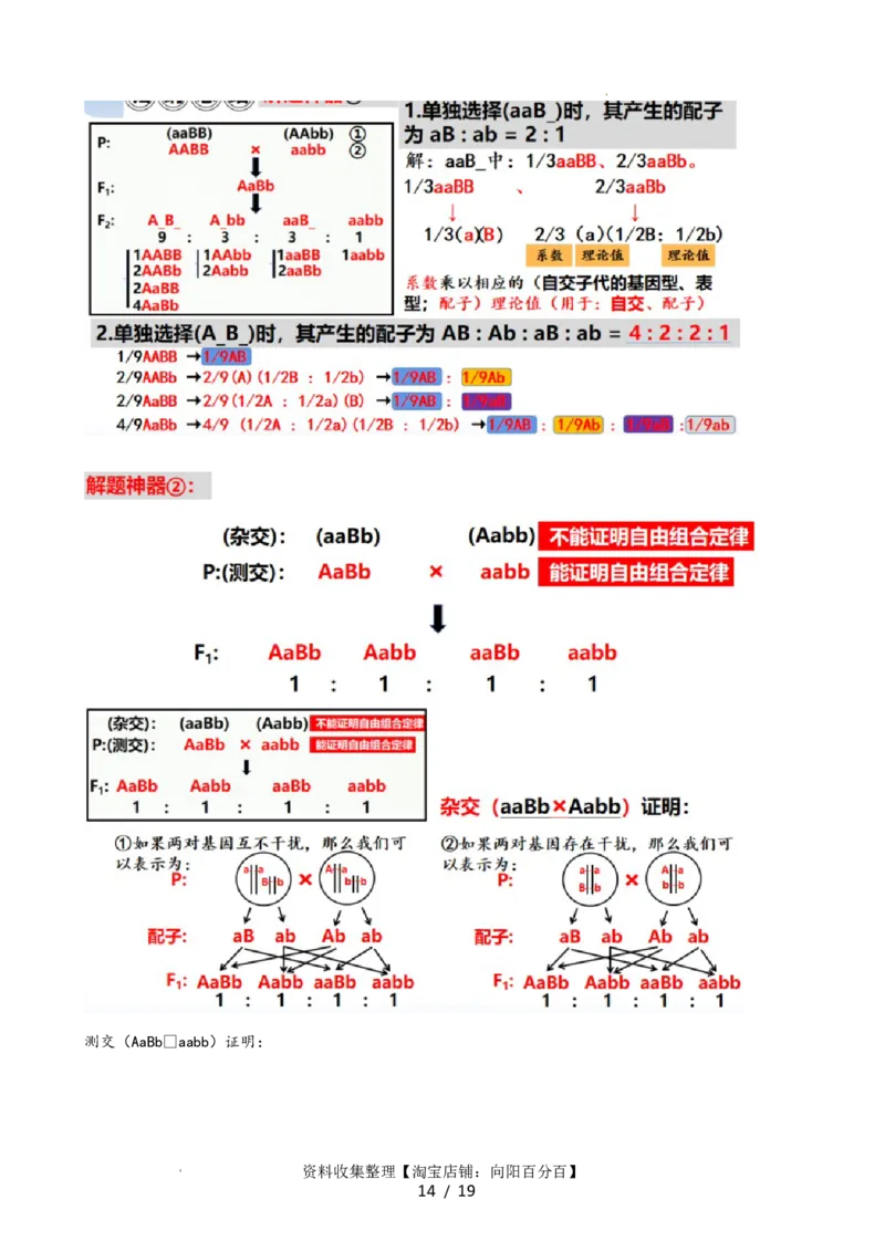 第17.1讲基因的自由组合定律（讲义）（教师版）_新高考复习资料_2024年新高考复习资料_一轮复习资料_完2024年高考生物一轮复习讲练测(课件+讲义+练习)（新高考）_讲义+练习