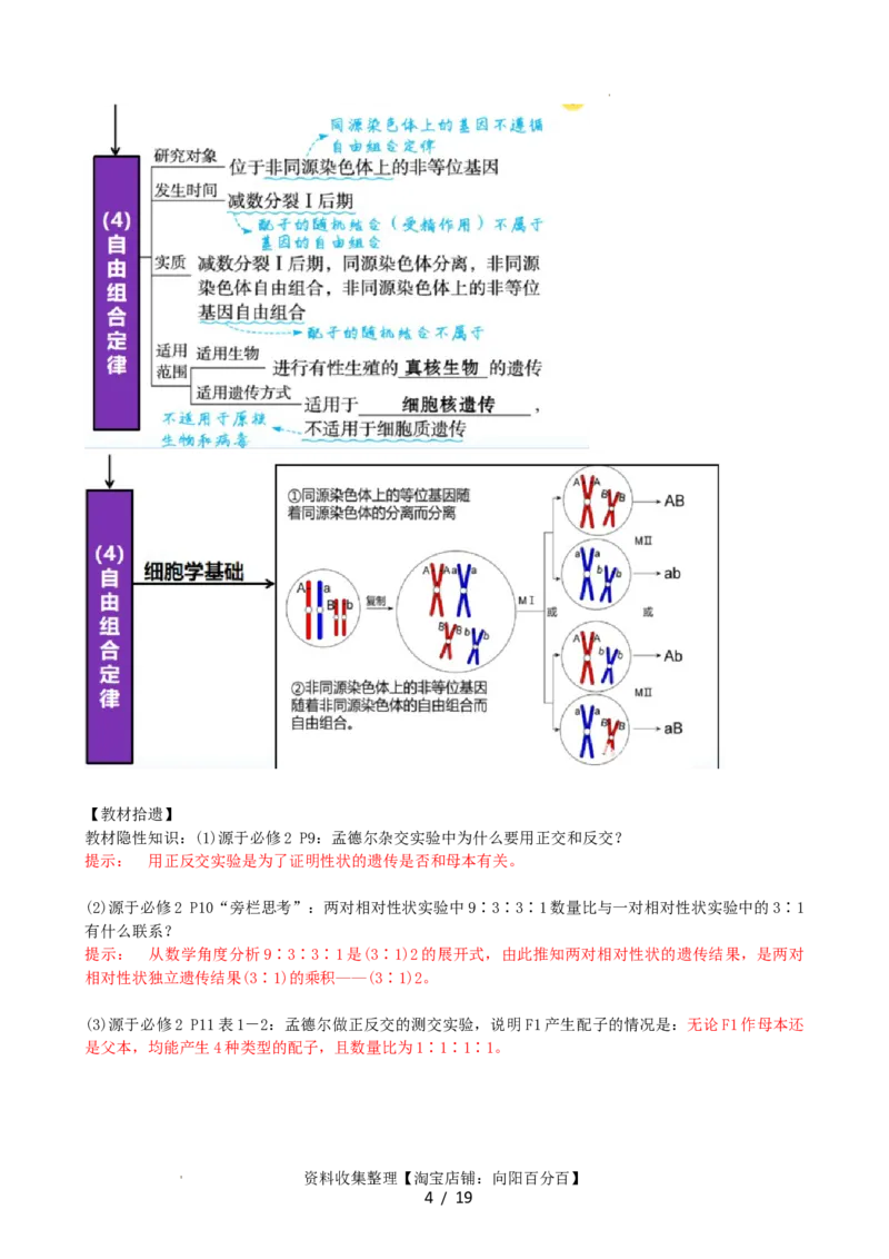 第17.1讲基因的自由组合定律（讲义）（教师版）_新高考复习资料_2024年新高考复习资料_一轮复习资料_完2024年高考生物一轮复习讲练测(课件+讲义+练习)（新高考）_讲义+练习