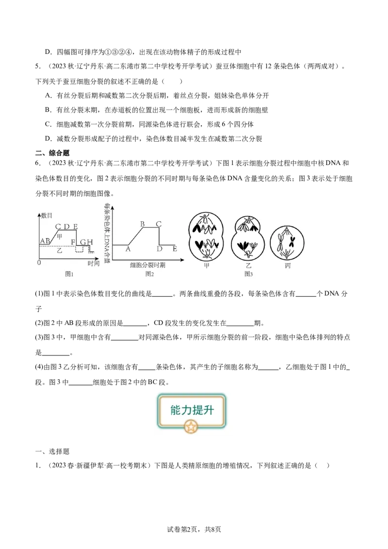第3讲减数分裂和受精作用（原卷版）_通用版（老高考）复习资料_2024年复习资料_完备战2024年高考生物一轮复习考点帮（全国通用）_专题五细胞的生命历程