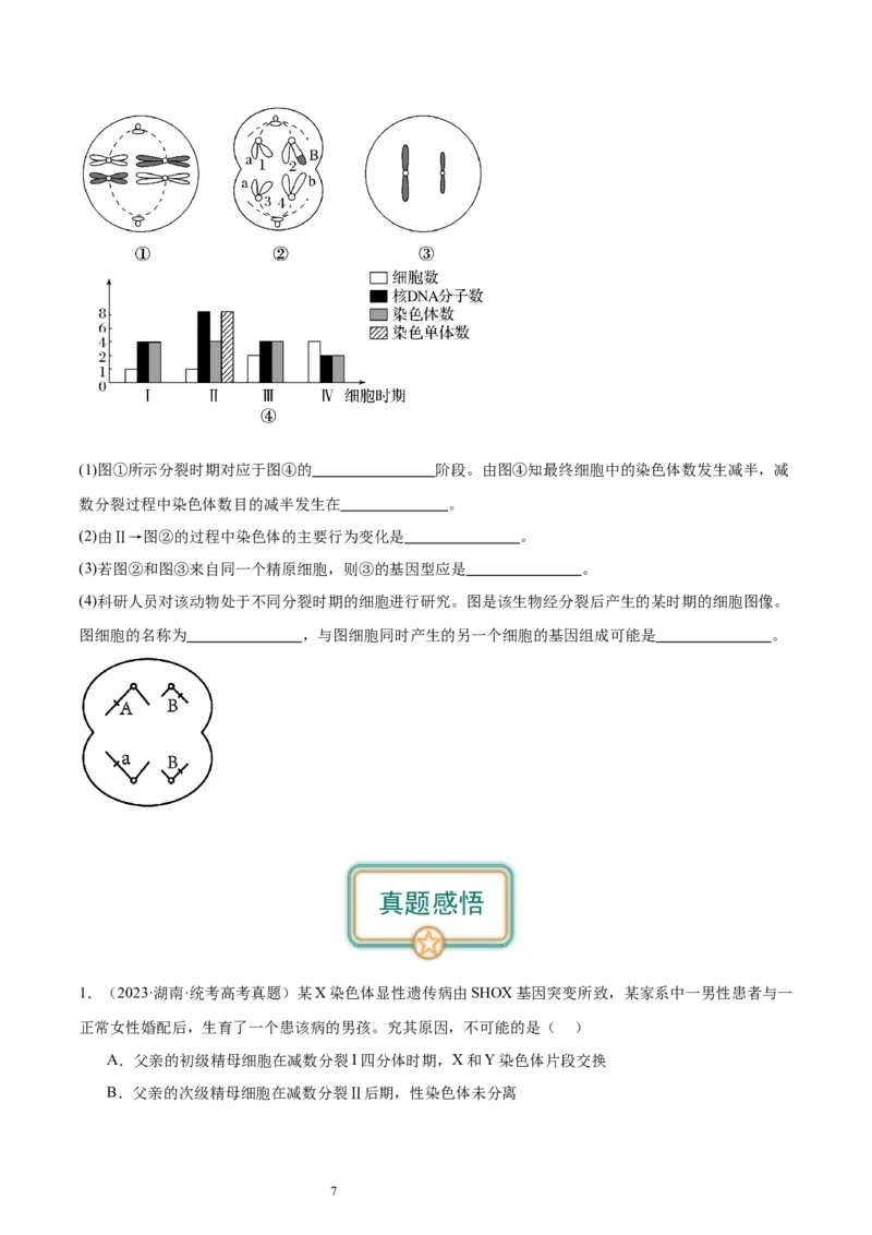 第3讲减数分裂和受精作用（原卷版）_通用版（老高考）复习资料_2024年复习资料_完备战2024年高考生物一轮复习考点帮（全国通用）_专题五细胞的生命历程