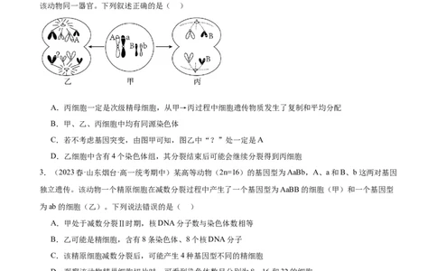 第3讲减数分裂和受精作用（原卷版）_通用版（老高考）复习资料_2024年复习资料_完备战2024年高考生物一轮复习考点帮（全国通用）_专题五细胞的生命历程