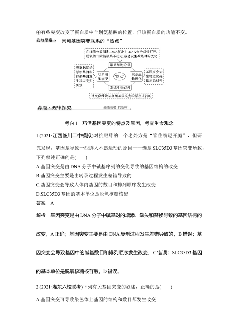 第19讲基因突变与基因重组_通用版（老高考）复习资料_2023年复习资料_一轮复习_2023年高考生物一轮复习讲义+课件（全国版）_2023年高考生物一轮复习讲义（全国版）_赠补充习题