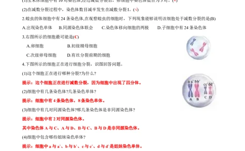 第2章基因和染色体的关系-查漏补缺2023年高考生物一轮复习教材必背细节与旁栏思考梳理汇总（新教材）（答案版）_新高考复习资料_2023年新高考复习资料_一轮复习