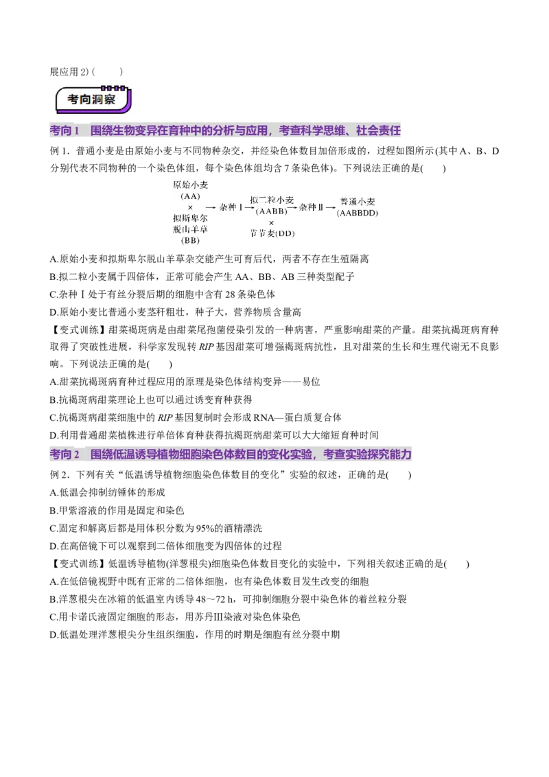 第22讲生物的变异（第二课时，染色体变异）（讲义）（原卷版）_2025年新高考资料_一轮复习_2025年高考生物一轮复习讲练测（新教材新高考）