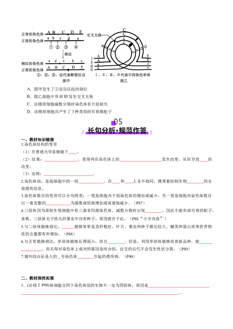 第22讲生物的变异（第二课时，染色体变异）（讲义）（原卷版）_2025年新高考资料_一轮复习_2025年高考生物一轮复习讲练测（新教材新高考）