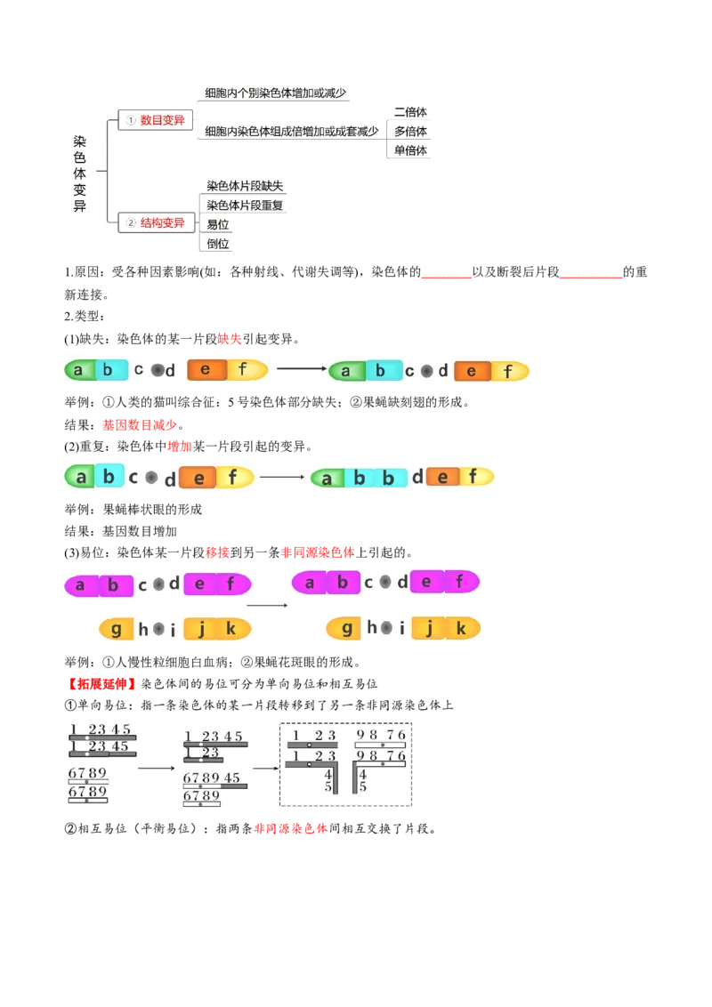第22讲生物的变异（第二课时，染色体变异）（讲义）（原卷版）_2025年新高考资料_一轮复习_2025年高考生物一轮复习讲练测（新教材新高考）