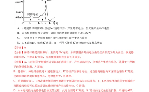 第25讲神经调节（第二课时，神经冲动的产生和传导、神经系统的分级调节和人脑的高级功能）（练习）（解析版）_2025年新高考资料_一轮复习