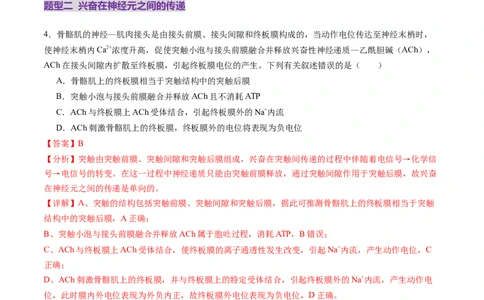 第25讲神经调节（第二课时，神经冲动的产生和传导、神经系统的分级调节和人脑的高级功能）（练习）（解析版）_2025年新高考资料_一轮复习