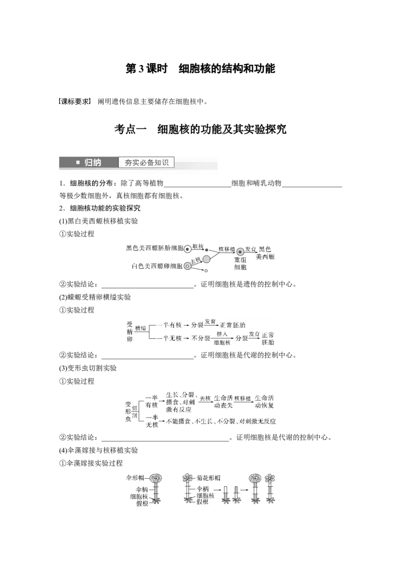 第2单元　第3课时　细胞核的结构和功能_新高考复习资料_2024年新高考复习资料_一轮复习资料_完2024生物步步高大一轮复习（课件+讲义）_2024年高考生物一轮复习讲义（新人教版）