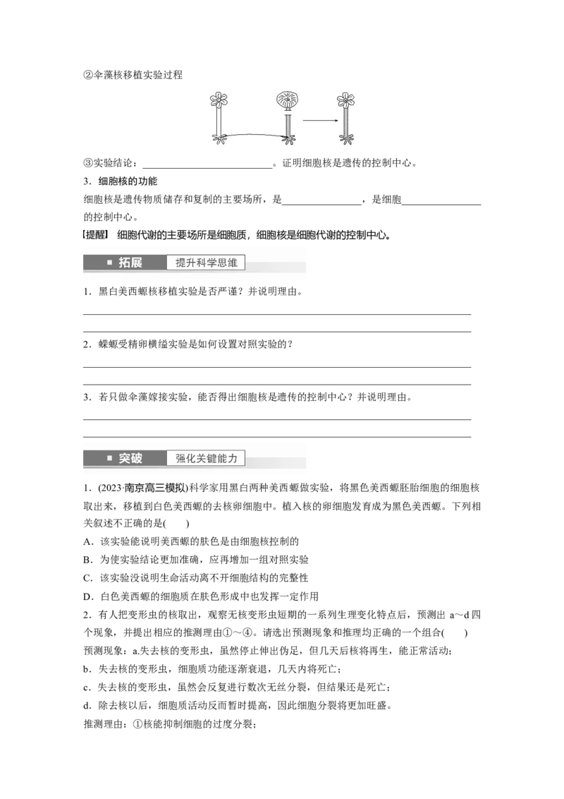 第2单元　第3课时　细胞核的结构和功能_新高考复习资料_2024年新高考复习资料_一轮复习资料_完2024生物步步高大一轮复习（课件+讲义）_2024年高考生物一轮复习讲义（新人教版）