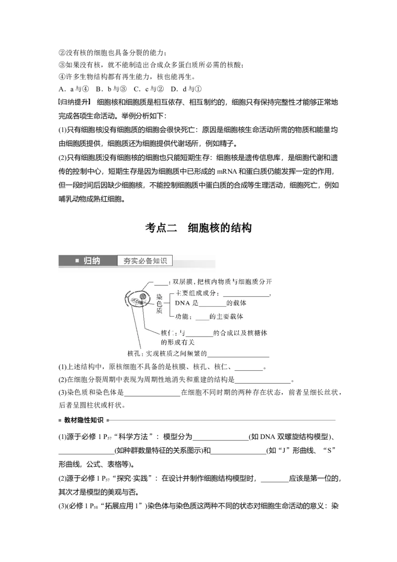 第2单元　第3课时　细胞核的结构和功能_新高考复习资料_2024年新高考复习资料_一轮复习资料_完2024生物步步高大一轮复习（课件+讲义）_2024年高考生物一轮复习讲义（新人教版）