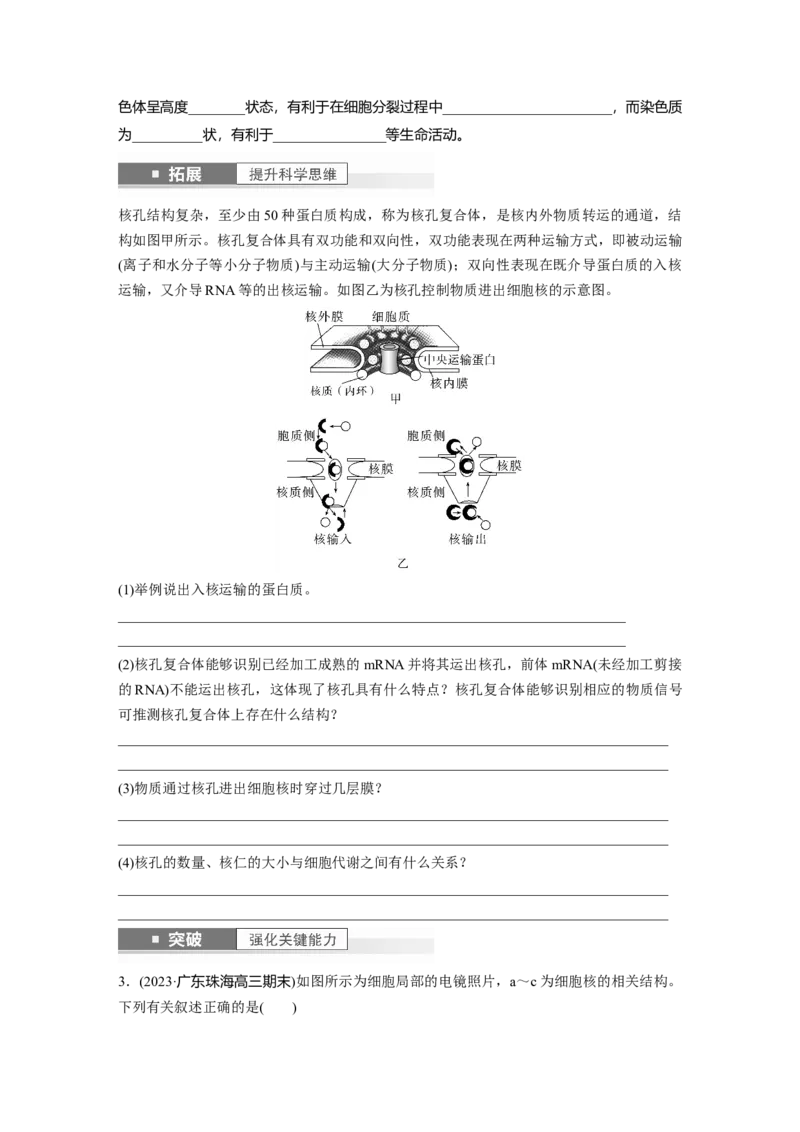 第2单元　第3课时　细胞核的结构和功能_新高考复习资料_2024年新高考复习资料_一轮复习资料_完2024生物步步高大一轮复习（课件+讲义）_2024年高考生物一轮复习讲义（新人教版）