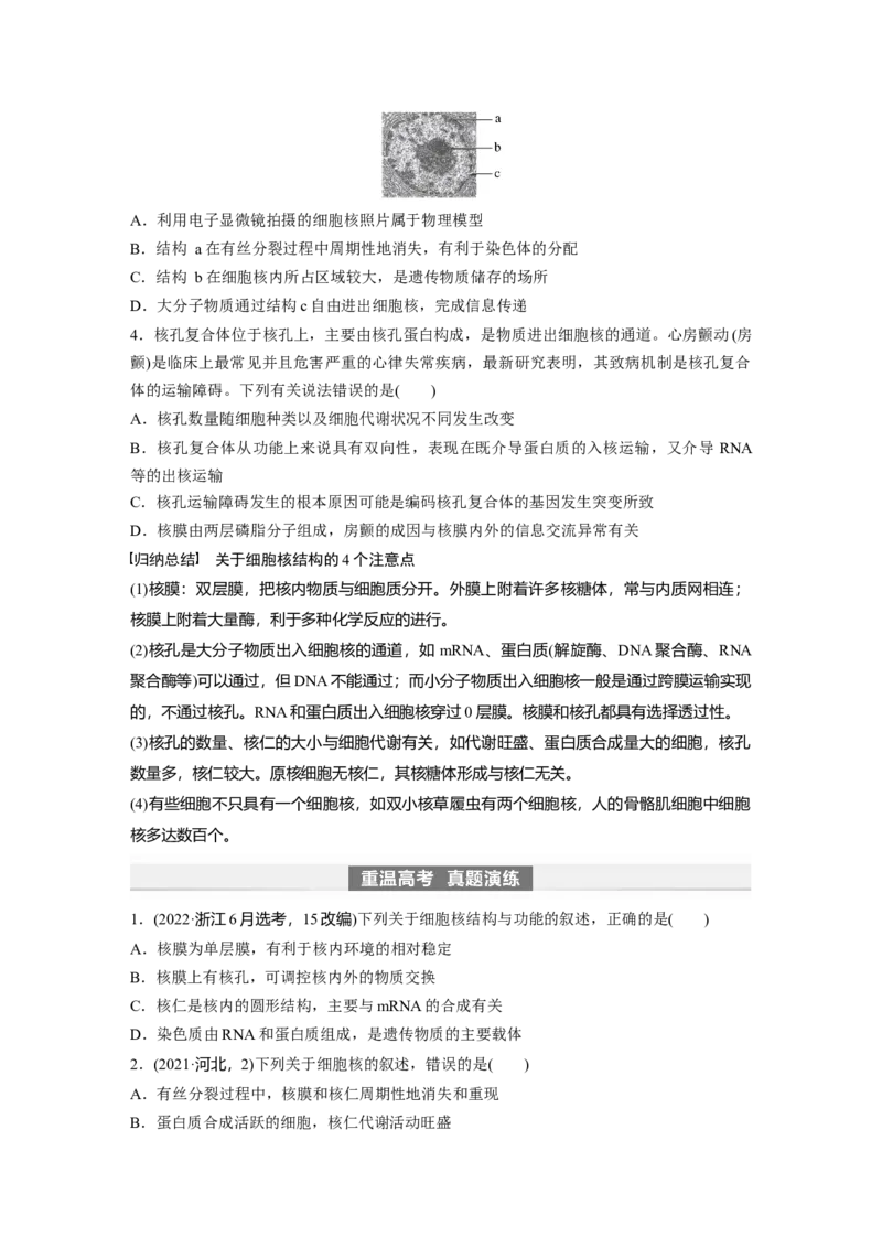 第2单元　第3课时　细胞核的结构和功能_新高考复习资料_2024年新高考复习资料_一轮复习资料_完2024生物步步高大一轮复习（课件+讲义）_2024年高考生物一轮复习讲义（新人教版）