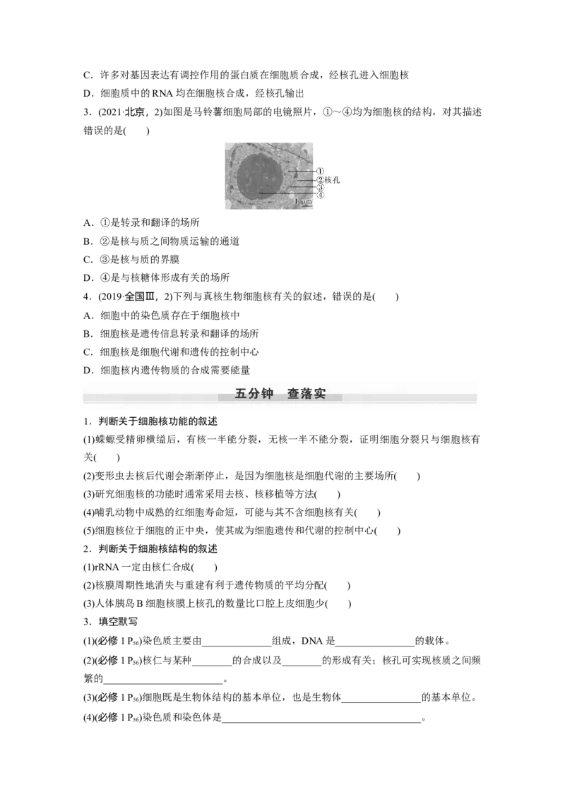 第2单元　第3课时　细胞核的结构和功能_新高考复习资料_2024年新高考复习资料_一轮复习资料_完2024生物步步高大一轮复习（课件+讲义）_2024年高考生物一轮复习讲义（新人教版）