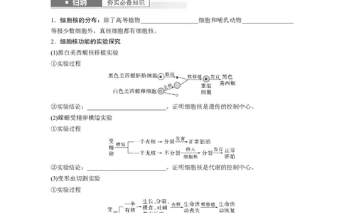 第2单元　第3课时　细胞核的结构和功能_新高考复习资料_2024年新高考复习资料_一轮复习资料_完2024生物步步高大一轮复习（课件+讲义）_2024年高考生物一轮复习讲义（新人教版）