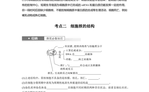 第2单元　第3课时　细胞核的结构和功能_新高考复习资料_2024年新高考复习资料_一轮复习资料_完2024生物步步高大一轮复习（课件+讲义）_2024年高考生物一轮复习讲义（新人教版）