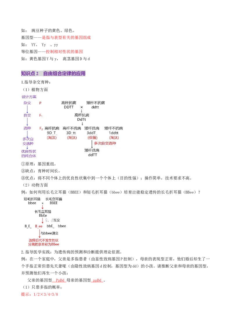 第16讲自由组合定律（第一课时）（讲义）（解析版）_2025年新高考资料_一轮复习_2025年高考生物一轮复习讲练测（新教材新高考）