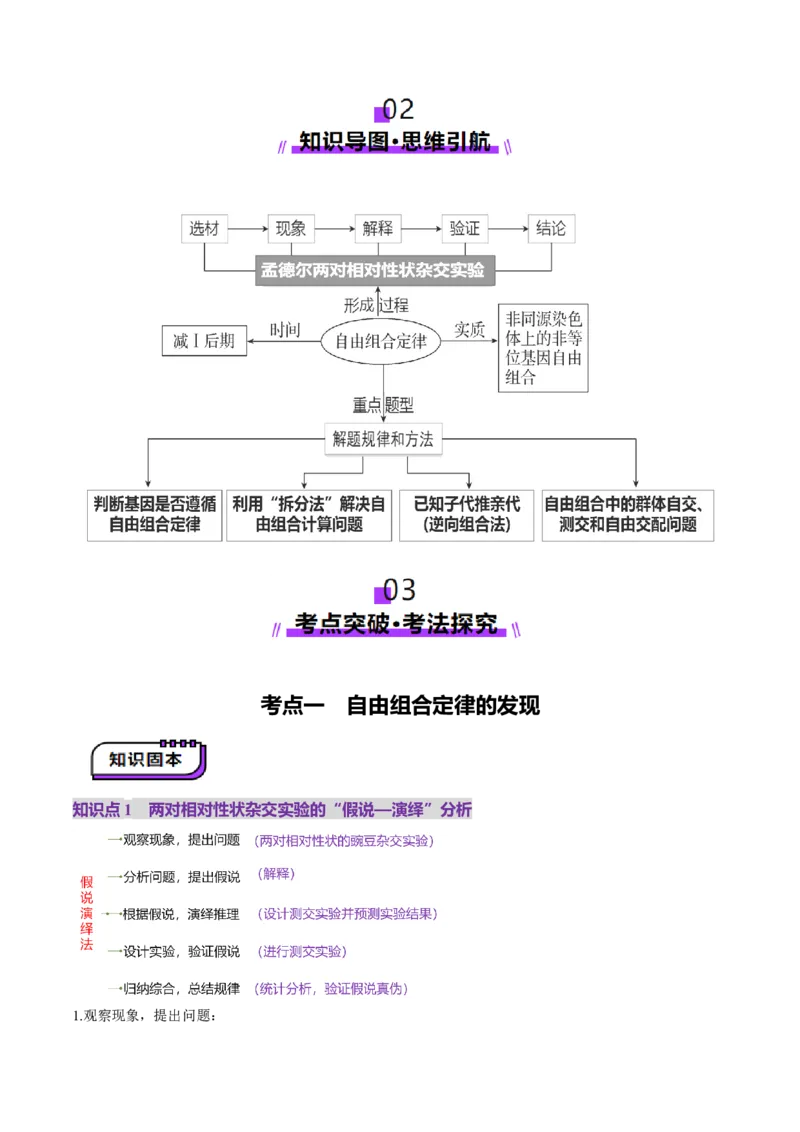 第16讲自由组合定律（第一课时）（讲义）（解析版）_2025年新高考资料_一轮复习_2025年高考生物一轮复习讲练测（新教材新高考）