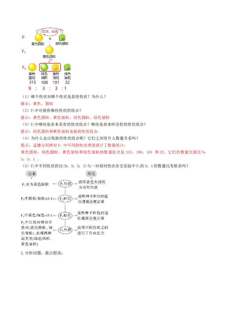 第16讲自由组合定律（第一课时）（讲义）（解析版）_2025年新高考资料_一轮复习_2025年高考生物一轮复习讲练测（新教材新高考）