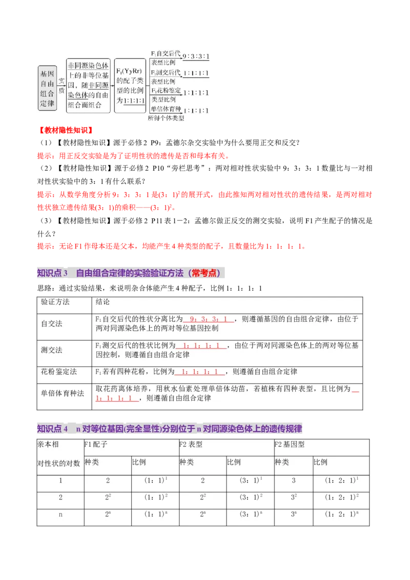 第16讲自由组合定律（第一课时）（讲义）（解析版）_2025年新高考资料_一轮复习_2025年高考生物一轮复习讲练测（新教材新高考）