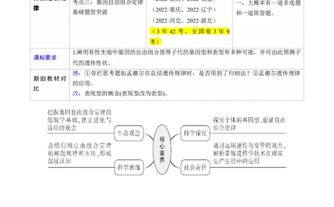 第16讲自由组合定律（第一课时）（讲义）（解析版）_2025年新高考资料_一轮复习_2025年高考生物一轮复习讲练测（新教材新高考）