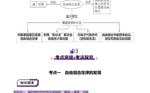 第16讲自由组合定律（第一课时）（讲义）（解析版）_2025年新高考资料_一轮复习_2025年高考生物一轮复习讲练测（新教材新高考）