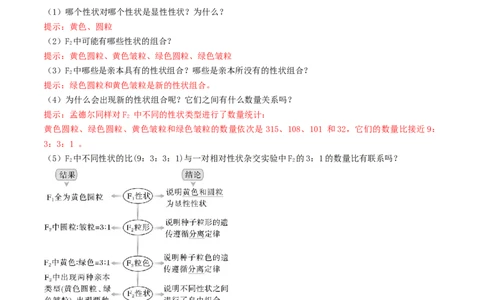 第16讲自由组合定律（第一课时）（讲义）（解析版）_2025年新高考资料_一轮复习_2025年高考生物一轮复习讲练测（新教材新高考）