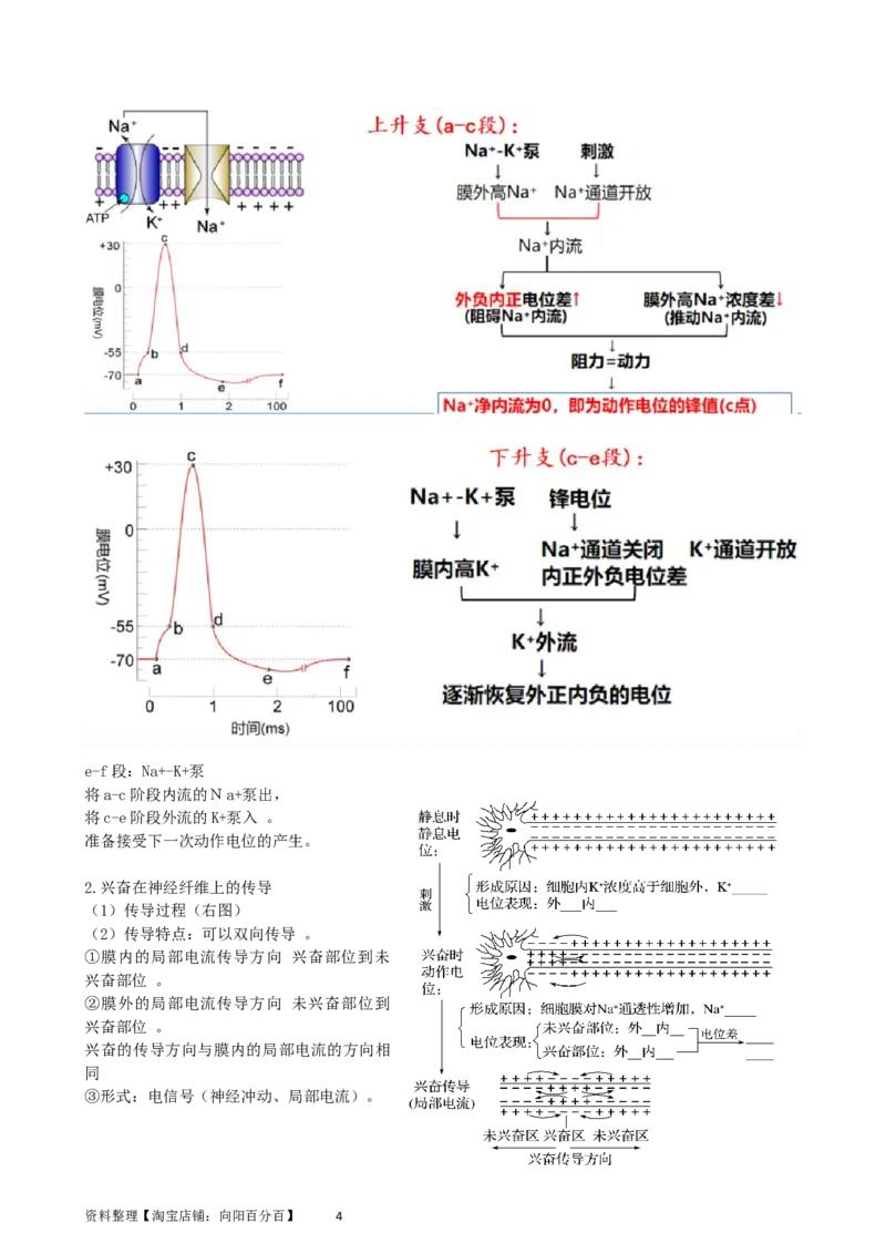 第26.2讲神经冲动的产生、传导和传递（讲义）（教师版）_新高考复习资料_2024年新高考复习资料_一轮复习资料_完2024年高考生物一轮复习讲练测(课件+讲义+练习)（新高考）_讲义+练习