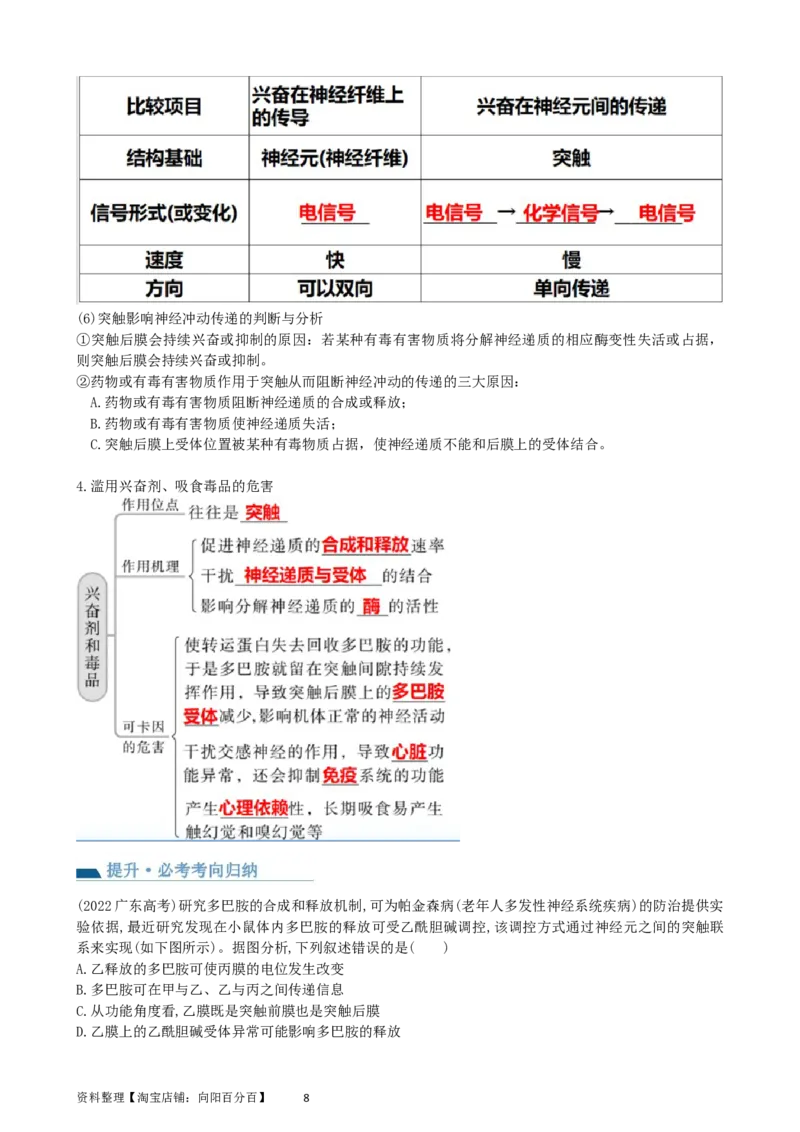 第26.2讲神经冲动的产生、传导和传递（讲义）（教师版）_新高考复习资料_2024年新高考复习资料_一轮复习资料_完2024年高考生物一轮复习讲练测(课件+讲义+练习)（新高考）_讲义+练习