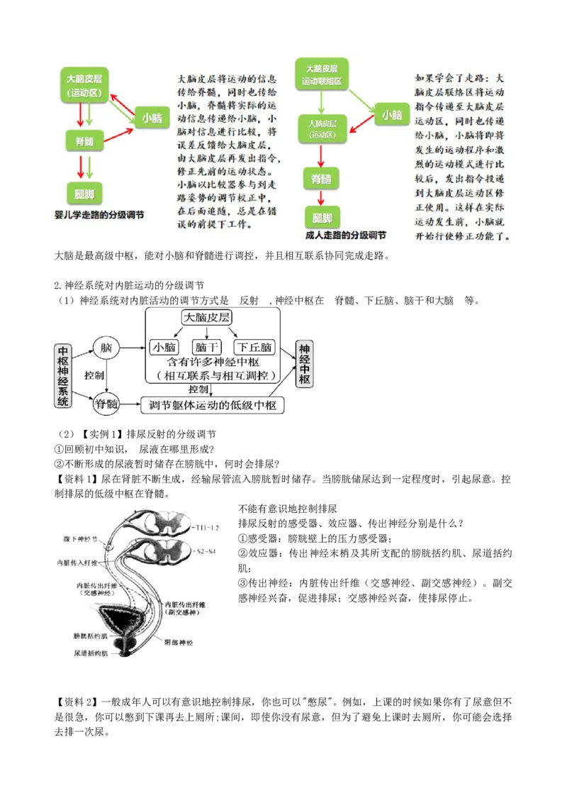 第26.1讲神经调节的结构基础、基本方式、分级调节、高级功能（讲义）（学生版）_新高考复习资料_2024年新高考复习资料_一轮复习资料_讲义+练习