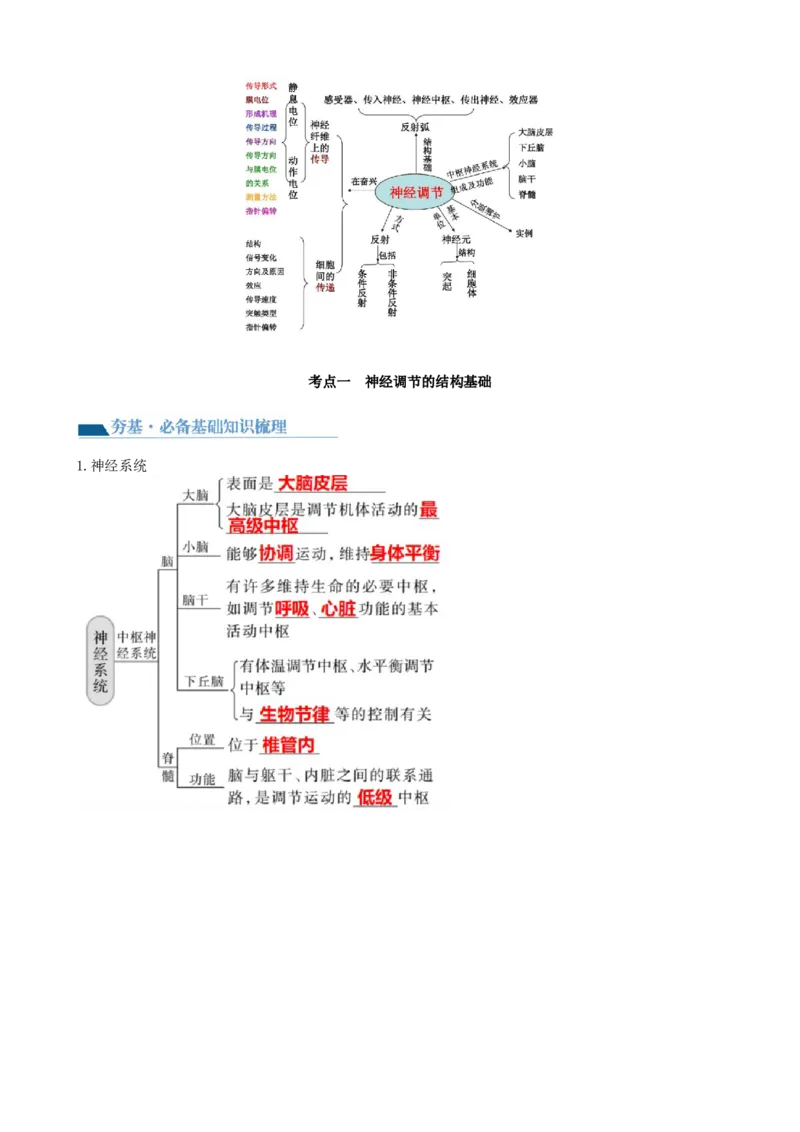 第26.1讲神经调节的结构基础、基本方式、分级调节、高级功能（讲义）（学生版）_新高考复习资料_2024年新高考复习资料_一轮复习资料_讲义+练习