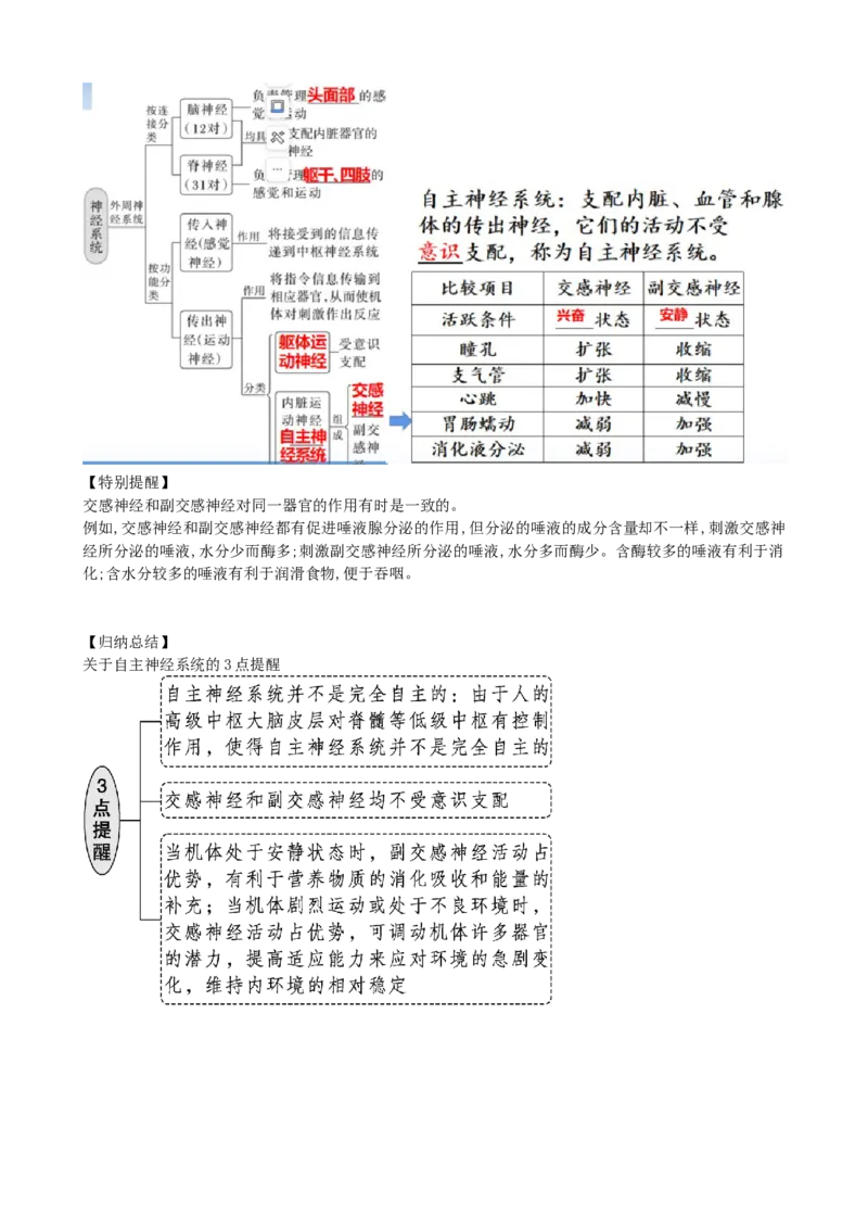 第26.1讲神经调节的结构基础、基本方式、分级调节、高级功能（讲义）（学生版）_新高考复习资料_2024年新高考复习资料_一轮复习资料_讲义+练习