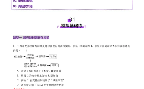 第19讲DNA是主要的遗传物质（练习）（解析版）_2025年新高考资料_一轮复习_2025年高考生物一轮复习讲练测（新教材新高考）