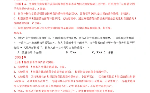 第19讲DNA是主要的遗传物质（练习）（解析版）_2025年新高考资料_一轮复习_2025年高考生物一轮复习讲练测（新教材新高考）