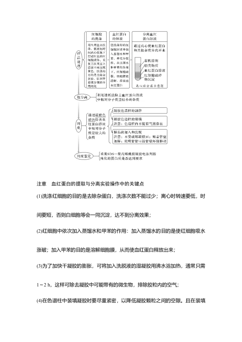 第35讲酶的研究与应用_通用版（老高考）复习资料_2023年复习资料_一轮复习_2023年高考生物一轮复习讲义+课件（全国版）_2023年高考生物一轮复习讲义（全国版）_赠补充习题