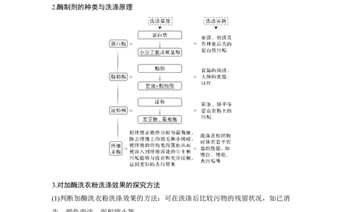 第35讲酶的研究与应用_通用版（老高考）复习资料_2023年复习资料_一轮复习_2023年高考生物一轮复习讲义+课件（全国版）_2023年高考生物一轮复习讲义（全国版）_赠补充习题