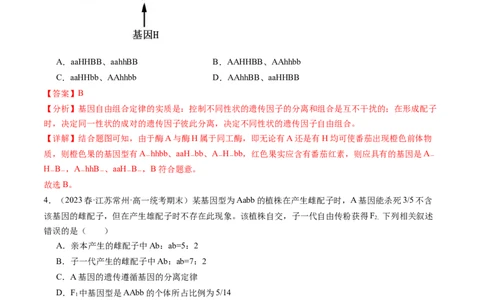 第17.2讲基因的自由组合定律相关题型（练习）（解析版）_新高考复习资料_2024年新高考复习资料_一轮复习资料_完2024年高考生物一轮复习讲练测(课件+讲义+练习)（新高考）_讲义+练习