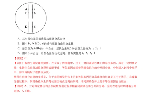 第17.2讲基因的自由组合定律相关题型（练习）（解析版）_新高考复习资料_2024年新高考复习资料_一轮复习资料_完2024年高考生物一轮复习讲练测(课件+讲义+练习)（新高考）_讲义+练习