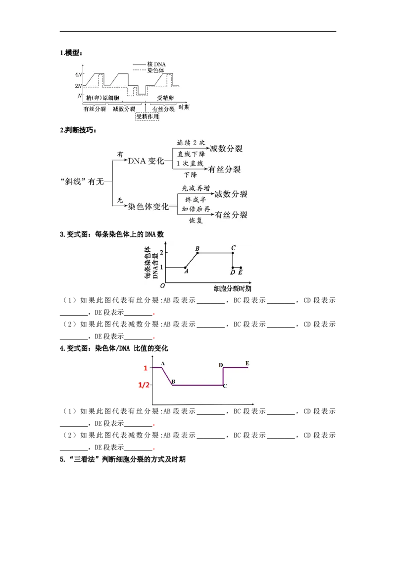 第3讲减数分裂和受精作用-精准备考备战2023年高考生物一轮复习精品讲义（生物学必修2）（原卷版）_通用版（老高考）复习资料_2023年复习资料_一轮复习
