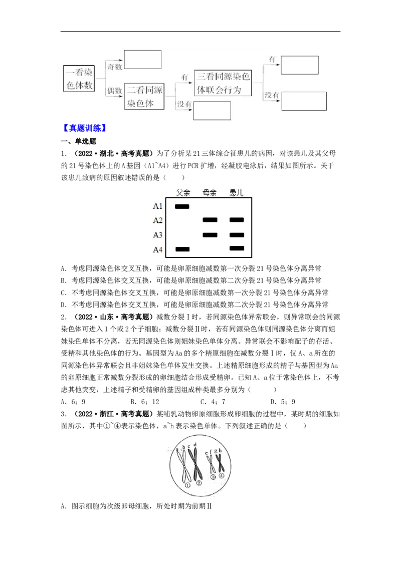 第3讲减数分裂和受精作用-精准备考备战2023年高考生物一轮复习精品讲义（生物学必修2）（原卷版）_通用版（老高考）复习资料_2023年复习资料_一轮复习
