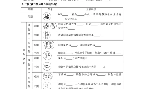 第3讲减数分裂和受精作用-精准备考备战2023年高考生物一轮复习精品讲义（生物学必修2）（原卷版）_通用版（老高考）复习资料_2023年复习资料_一轮复习