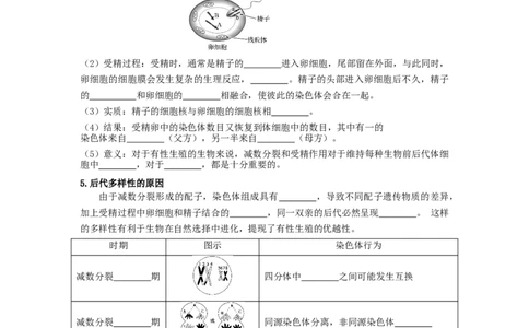第3讲减数分裂和受精作用-精准备考备战2023年高考生物一轮复习精品讲义（生物学必修2）（原卷版）_通用版（老高考）复习资料_2023年复习资料_一轮复习