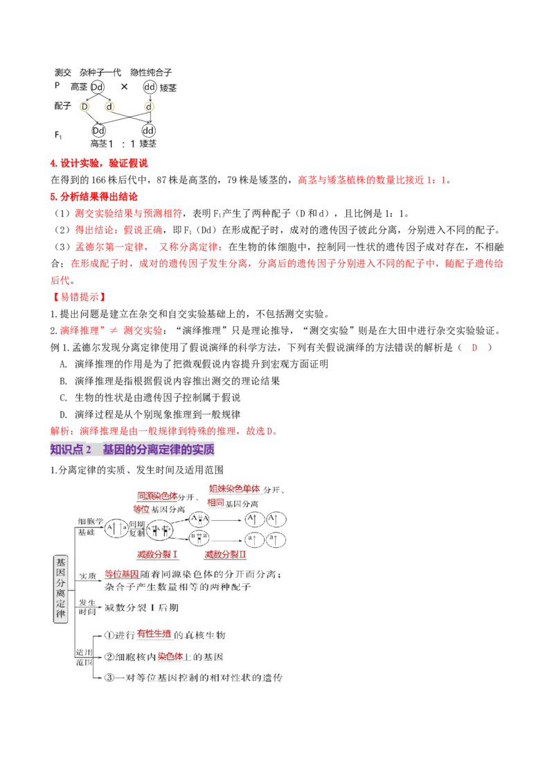 第15讲分离定律（讲义）（解析版）_2025年新高考资料_一轮复习_2025年高考生物一轮复习讲练测（新教材新高考）