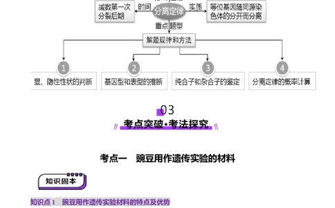 第15讲分离定律（讲义）（解析版）_2025年新高考资料_一轮复习_2025年高考生物一轮复习讲练测（新教材新高考）