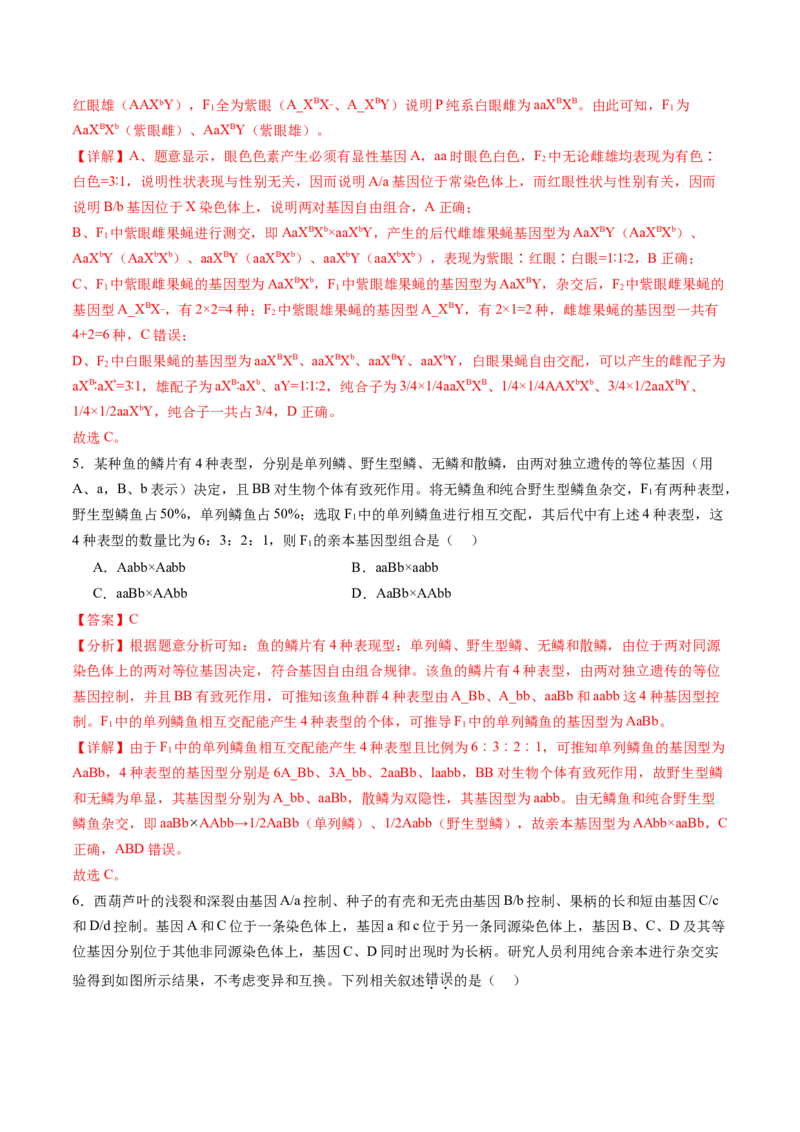 第16讲自由组合定律（第一课时）（练习）（解析版）_2025年新高考资料_一轮复习_2025年高考生物一轮复习讲练测（新教材新高考）